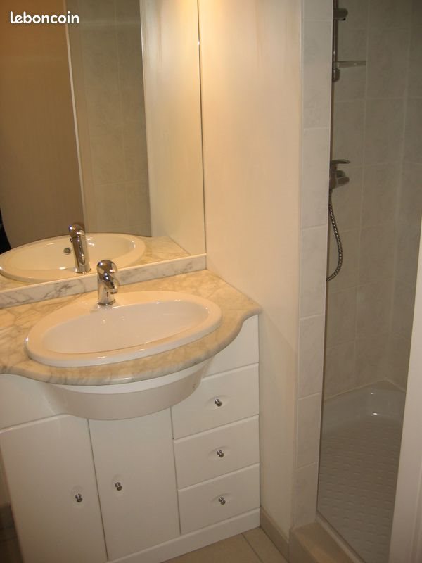 Appartement à louer, 32m², Nancy