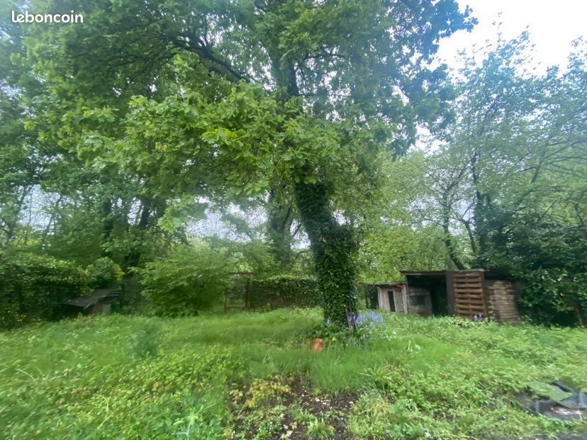 Maison à louer, 50m², Blanquefort