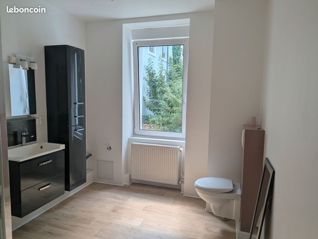 Appartement à louer, 55m², Mulhouse