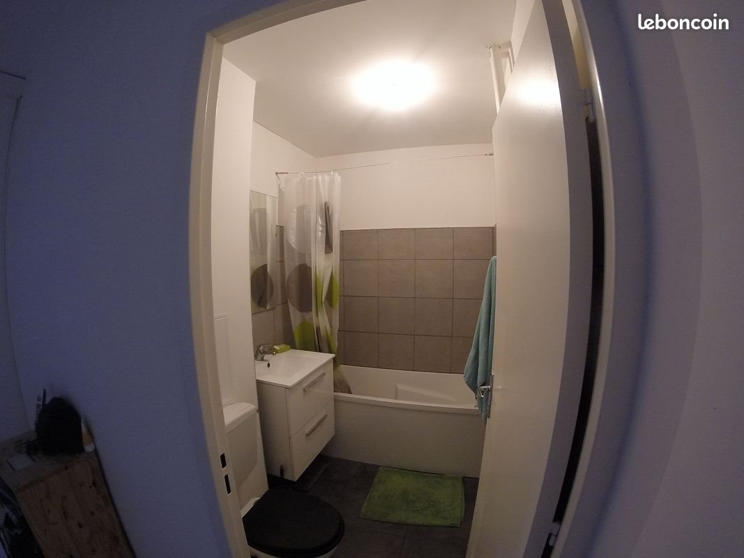 Appartement à louer, 44m², Loos