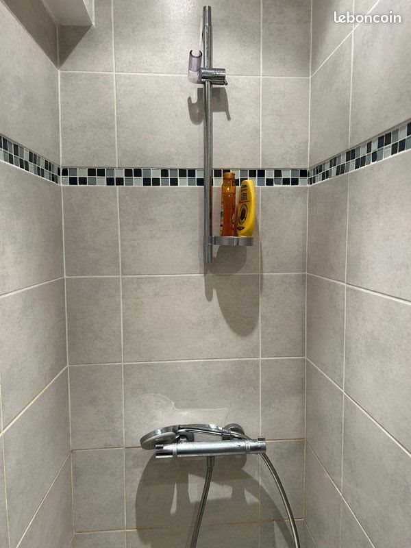 Appartement à louer, 24m², Saint-Etienne