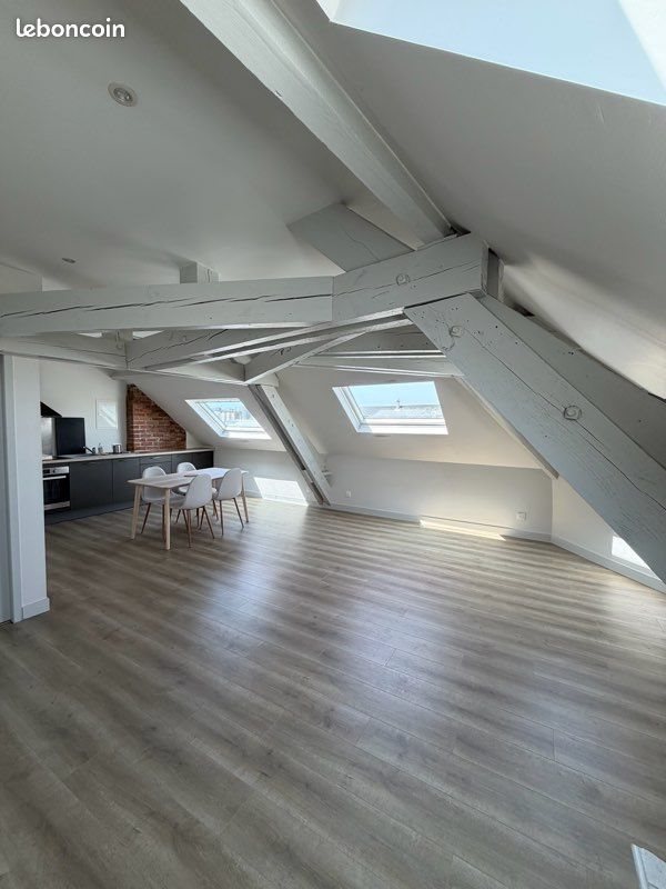 Appartement à louer, 56m², Tours