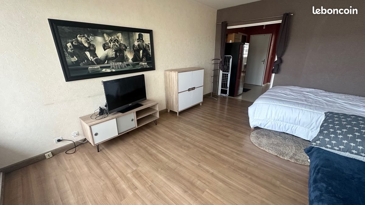Appartement à vendre, 47m², Saint-Etienne