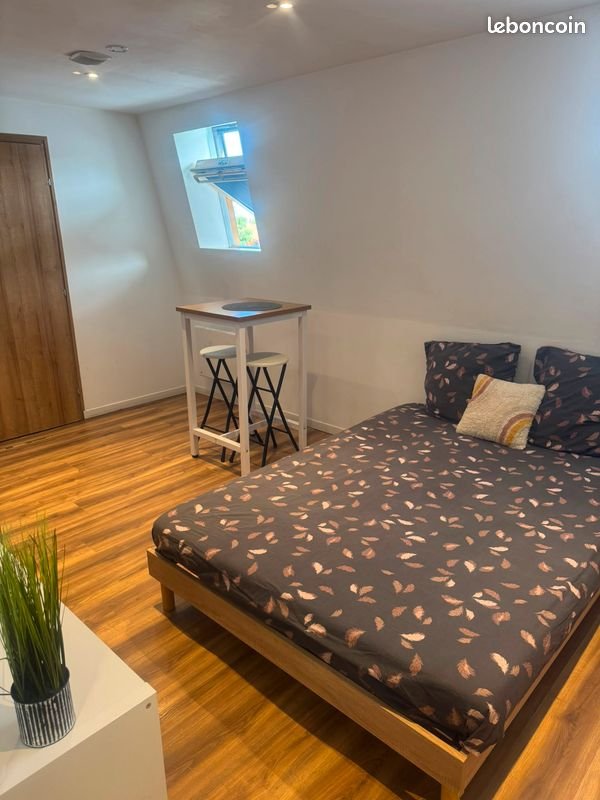 Appartement à louer, 18m², Roubaix