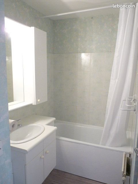 Appartement à louer, 49m², Vichy