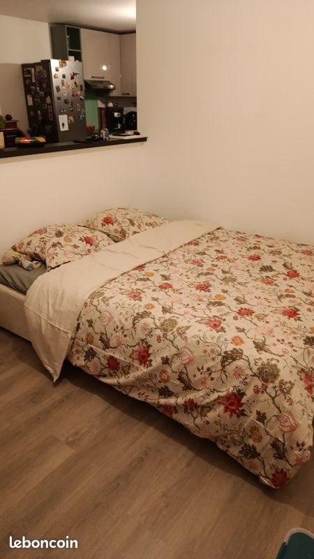 Appartement à louer, 36m², Nogent-sur-Marne
