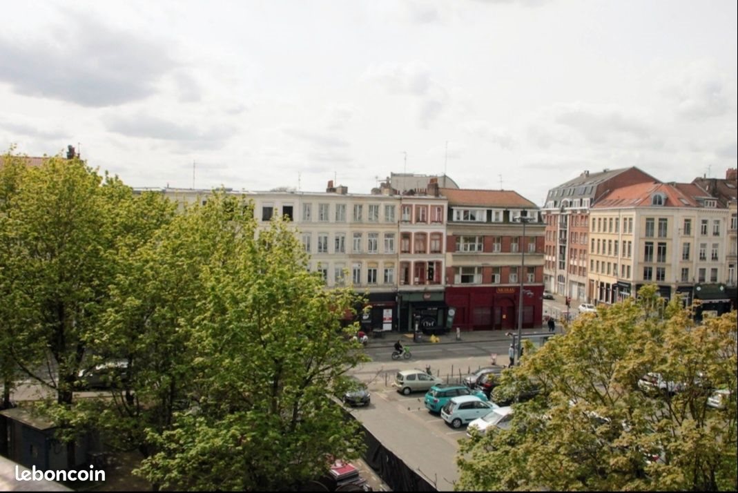 Appartement à vendre, 38m², Lille