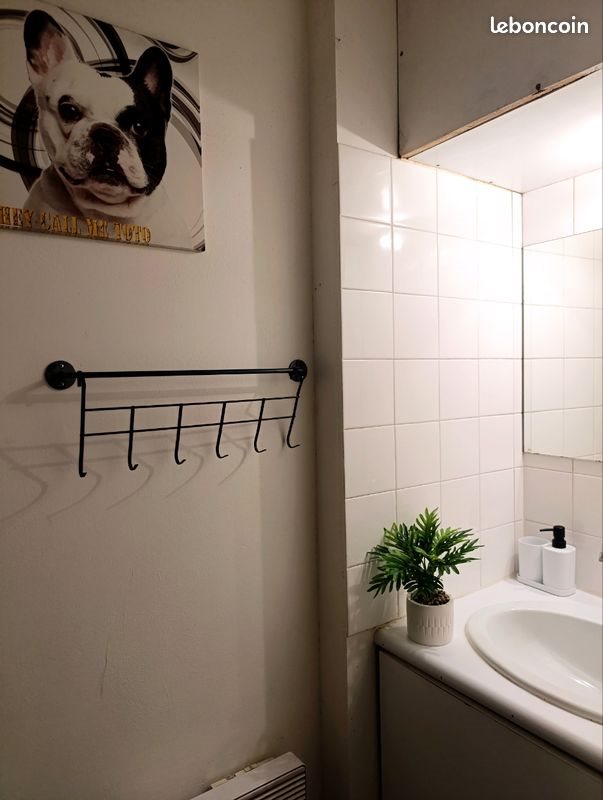 Appartement à louer, 30m², Montauban