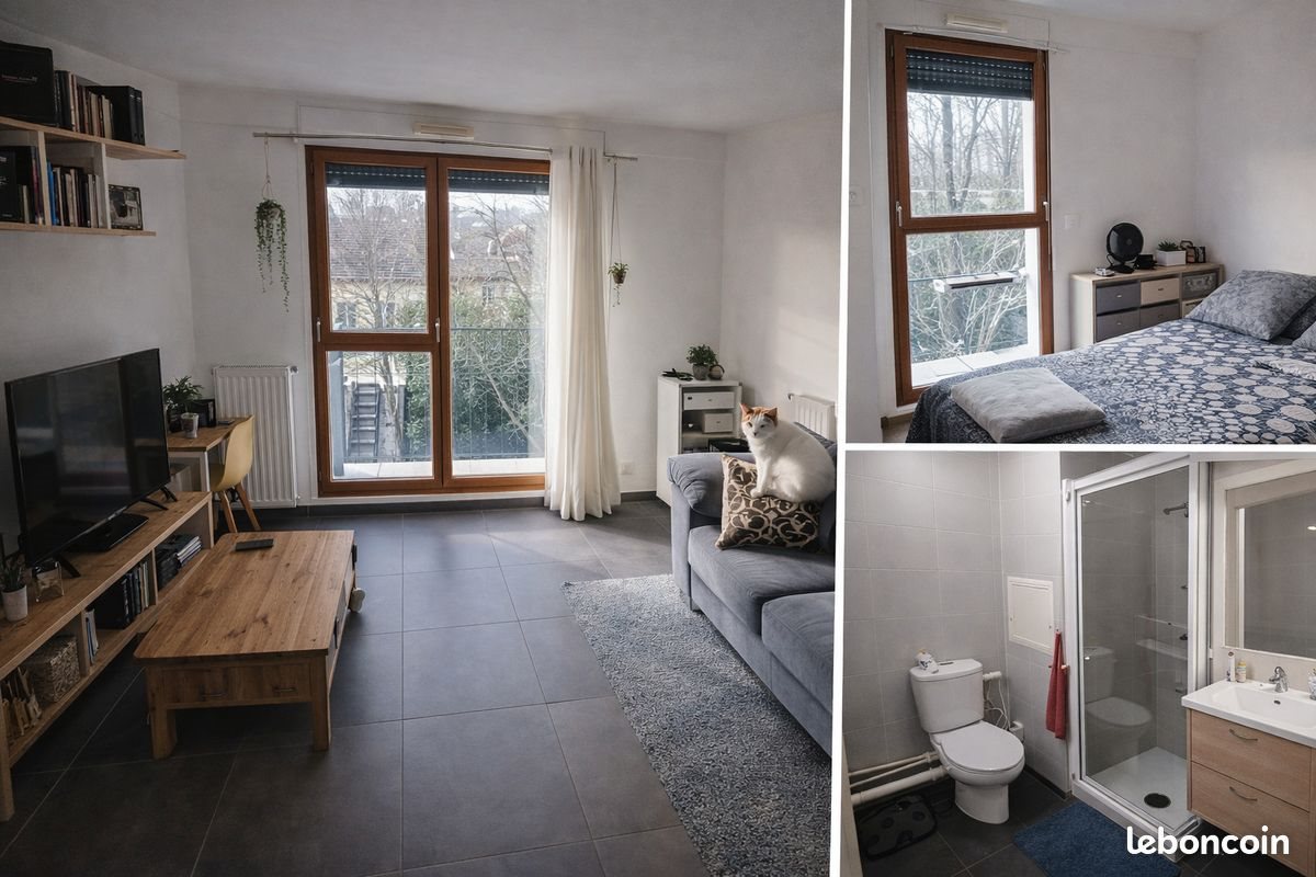 Appartement à vendre, 39m², Montreuil