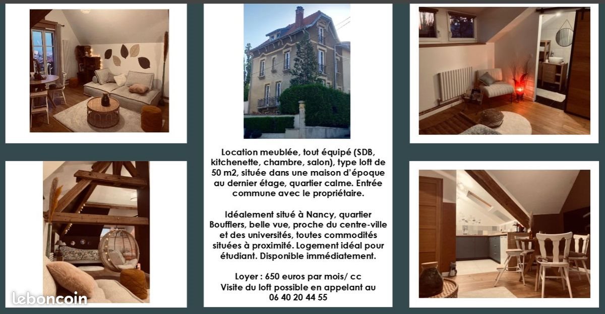 Appartement à louer, 50m², Nancy