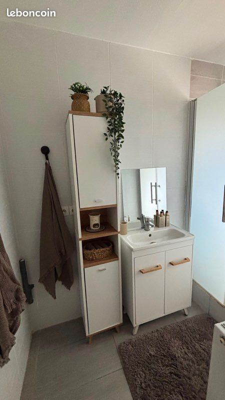 Appartement à louer, 58m², Lille