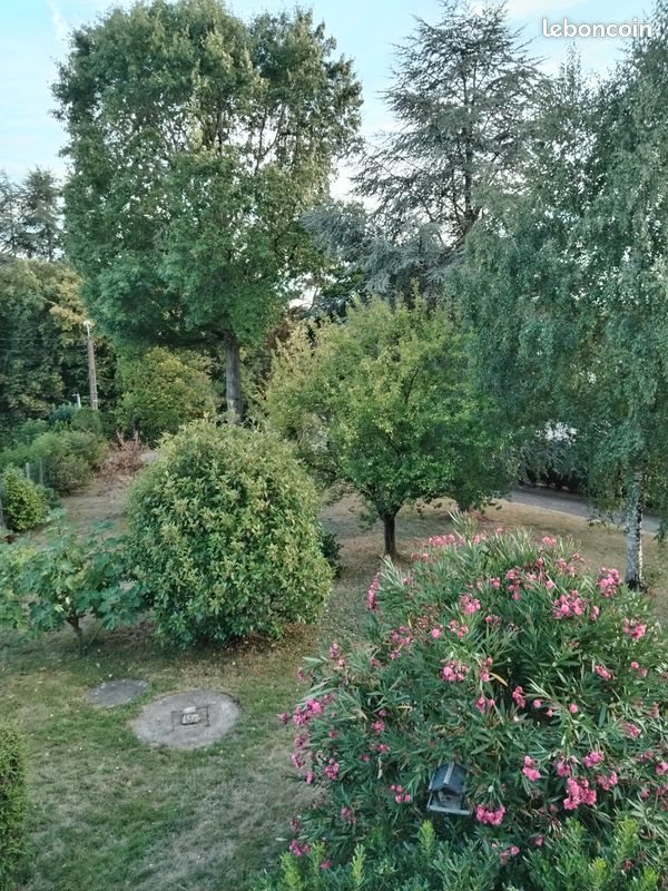Appartement à louer, 35m², Montfort-sur-Meu