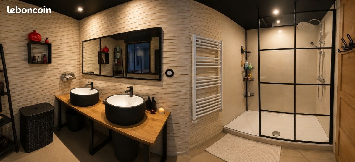 Maison à vendre, 421m², La Roche-Posay