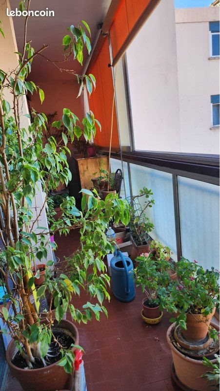 Appartement à louer, 60m², Le Cannet
