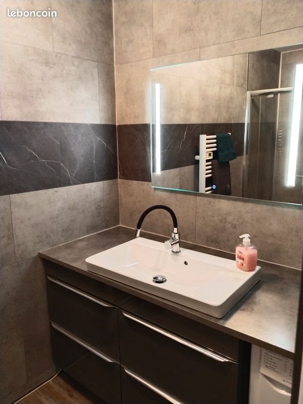 Appartement à louer, 48m², Saint-Cyprien