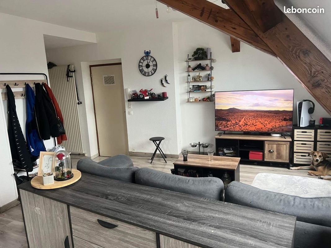 Appartement à louer, 45m², Altkirch