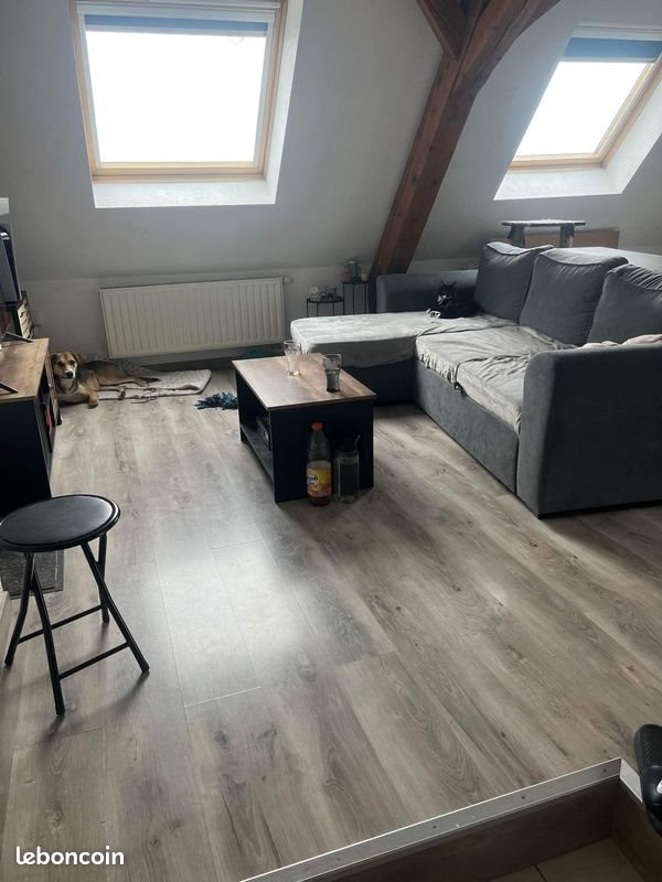 Appartement à louer, 45m², Altkirch