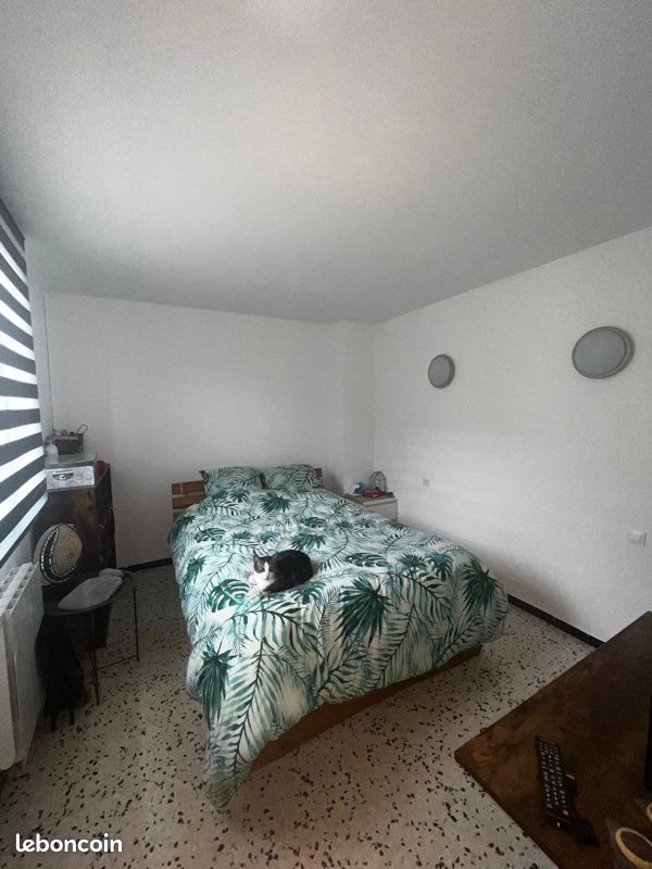 Maison à louer, 45m², Ortaffa