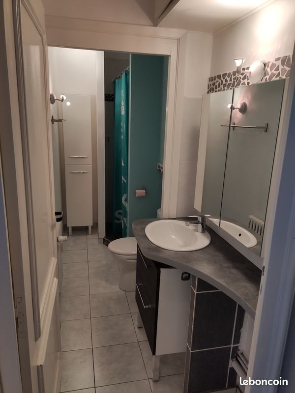 Appartement à louer, 45m², Saint-Etienne
