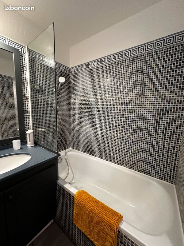 Appartement à louer, 27m², Cannes-la-Bocca