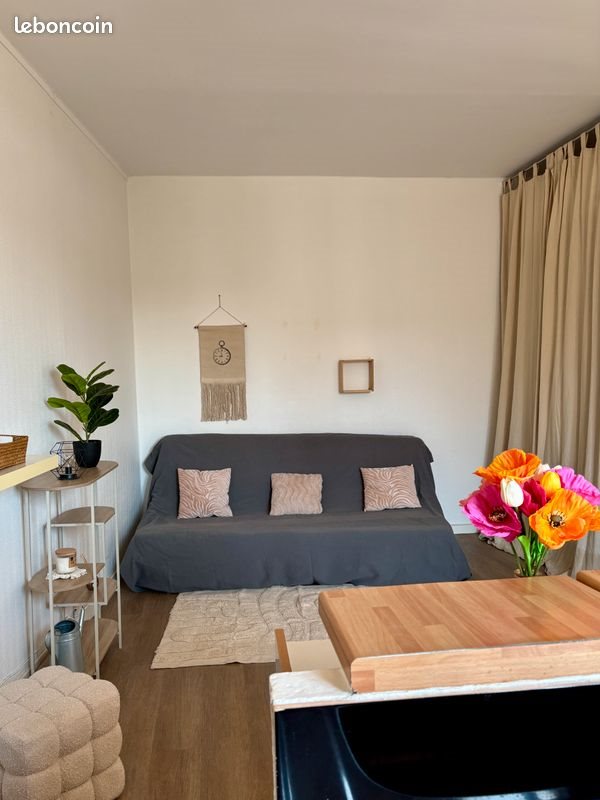Appartement à louer, 25m², Villeurbanne