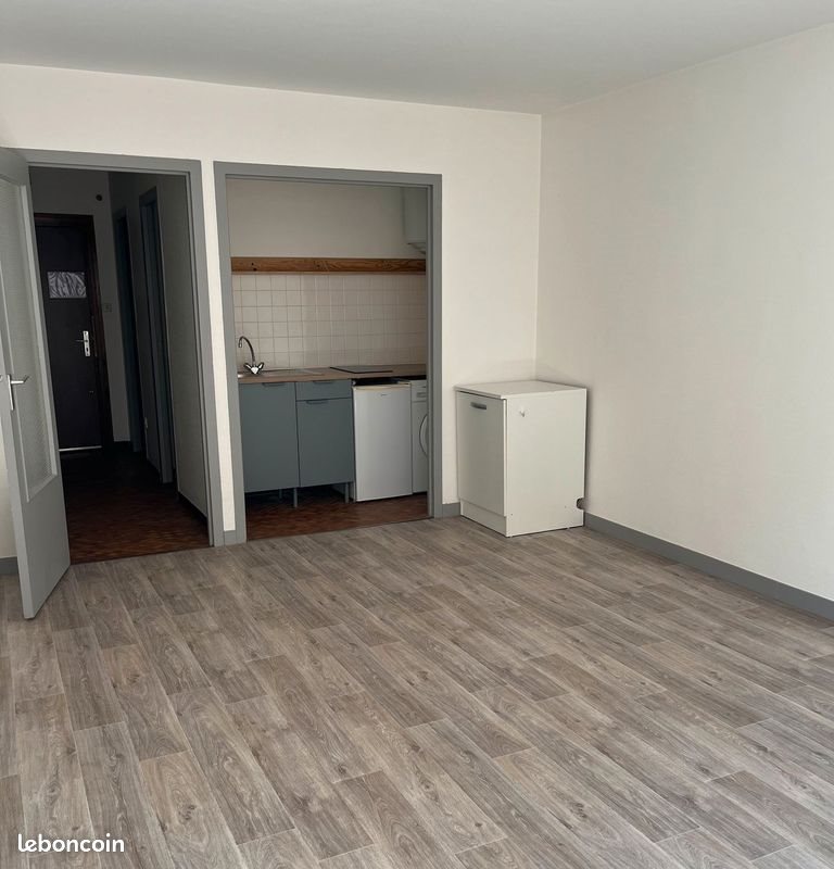 Appartement à louer, 31m², Saint-Étienne