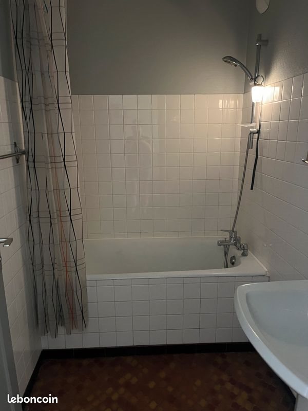 Appartement à louer, 31m², Saint-Étienne