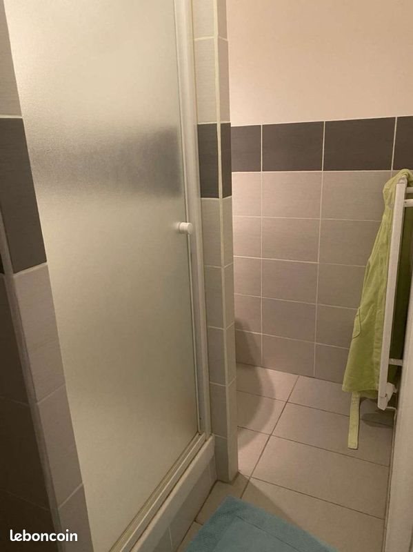 Appartement à louer, 27m², Saint-Étienne