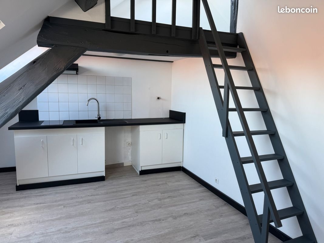 Appartement à louer, 26m², Roubaix