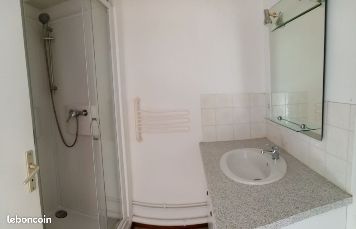 Appartement à louer, 24m², Nancy