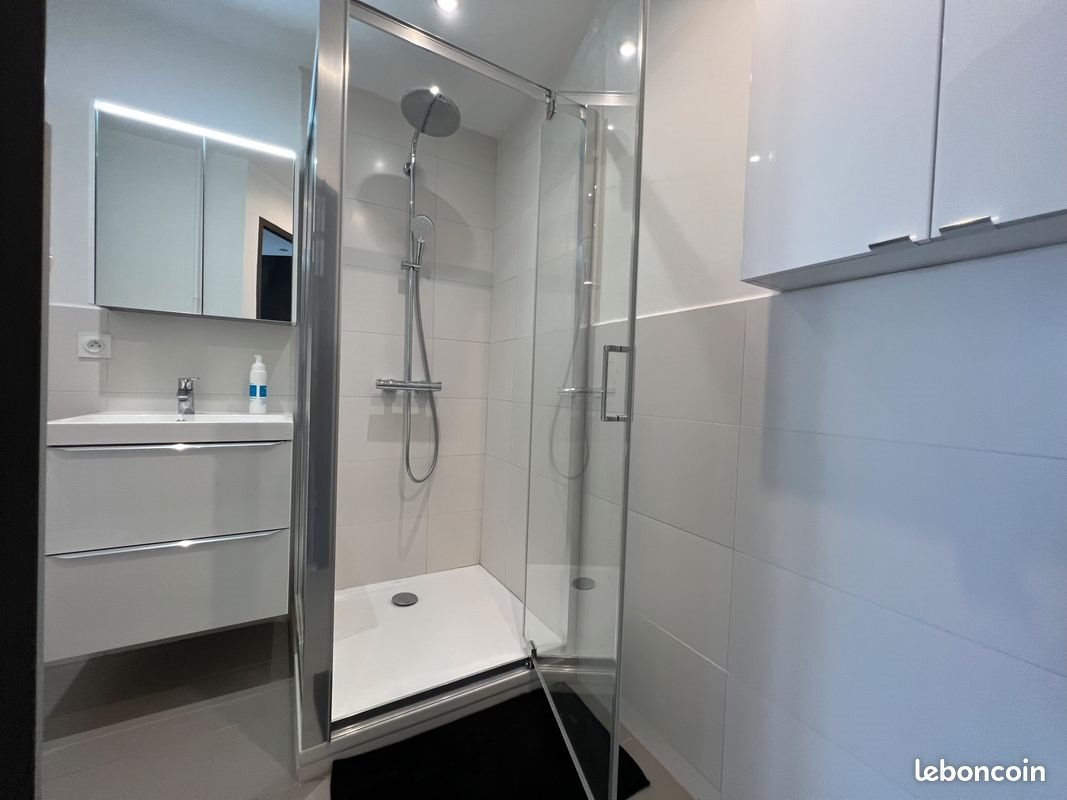 Appartement à louer, 41m², Saint-Etienne