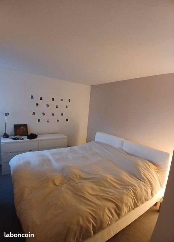 Appartement à louer, 50m², Albi
