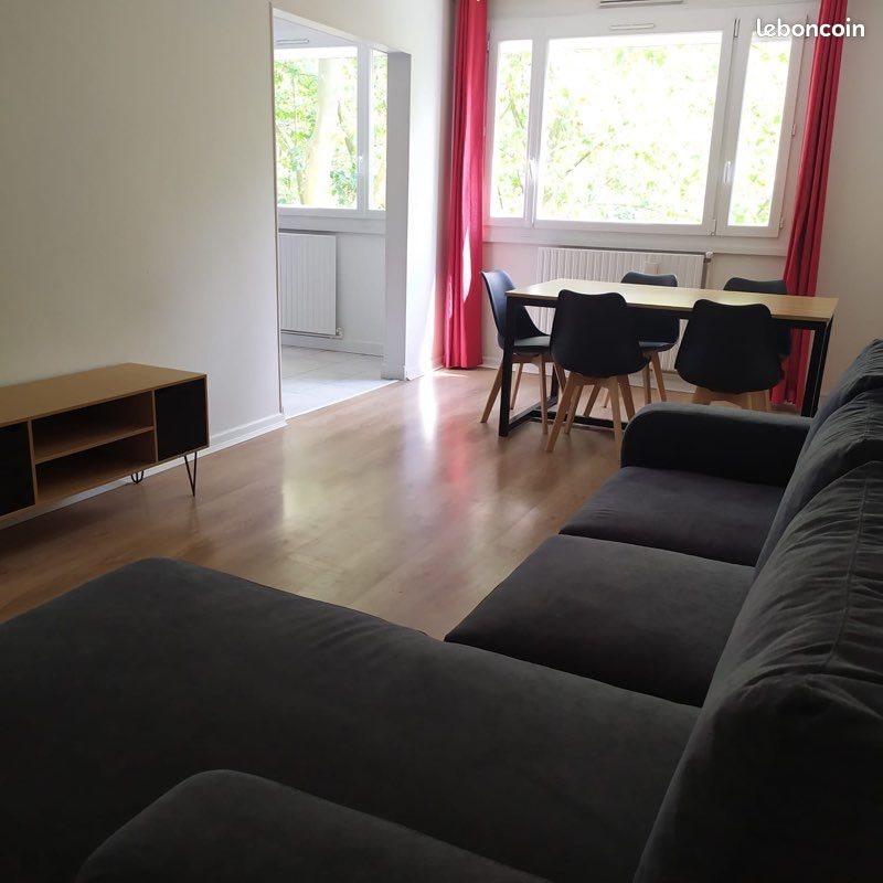 Appartement à louer, 55m², Villeurbanne