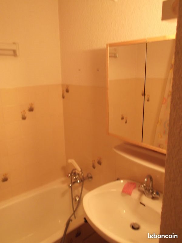 Appartement à vendre, 24m², Thollon-les-Mémises