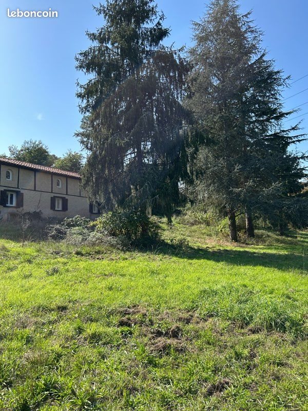 Maison à vendre, 240m², Saint-Cricq-Villeneuve