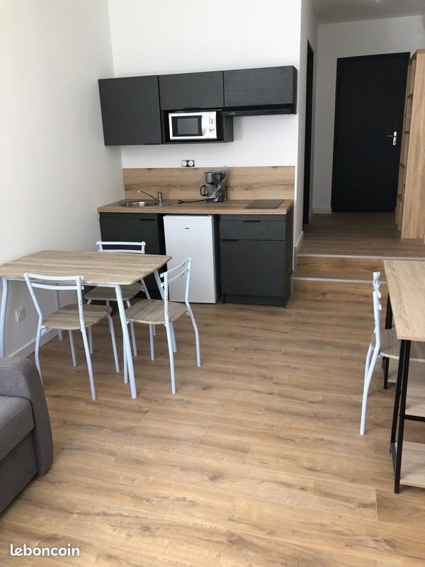 Appartement à louer, 25m², Saint-Étienne