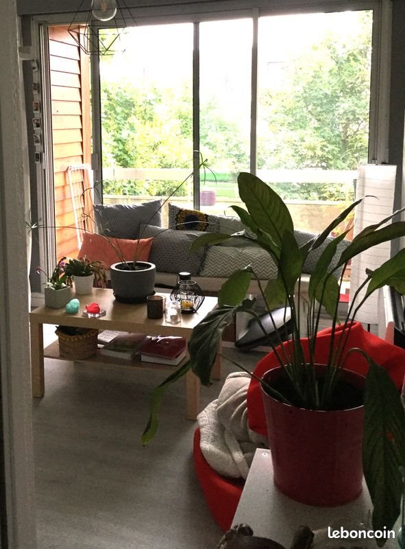 Appartement à louer, 24m², Dax