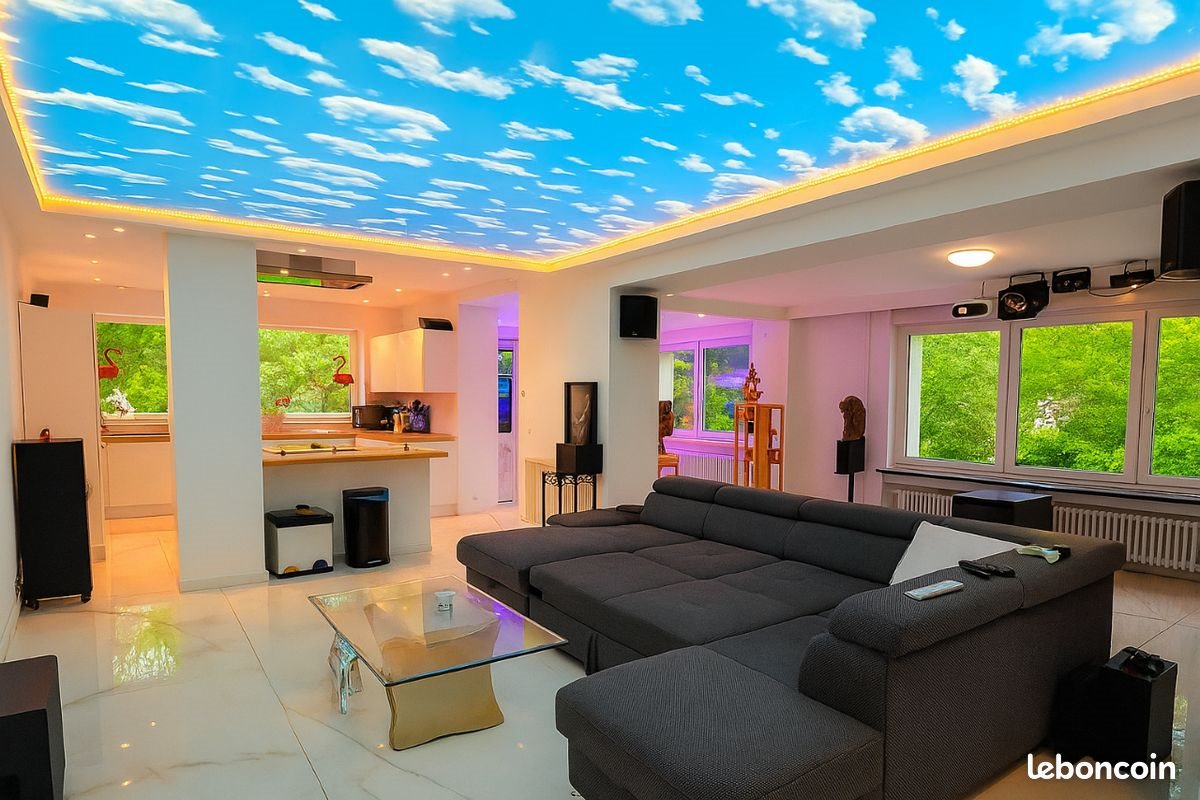 Maison à vendre, 273m², Sarralbe