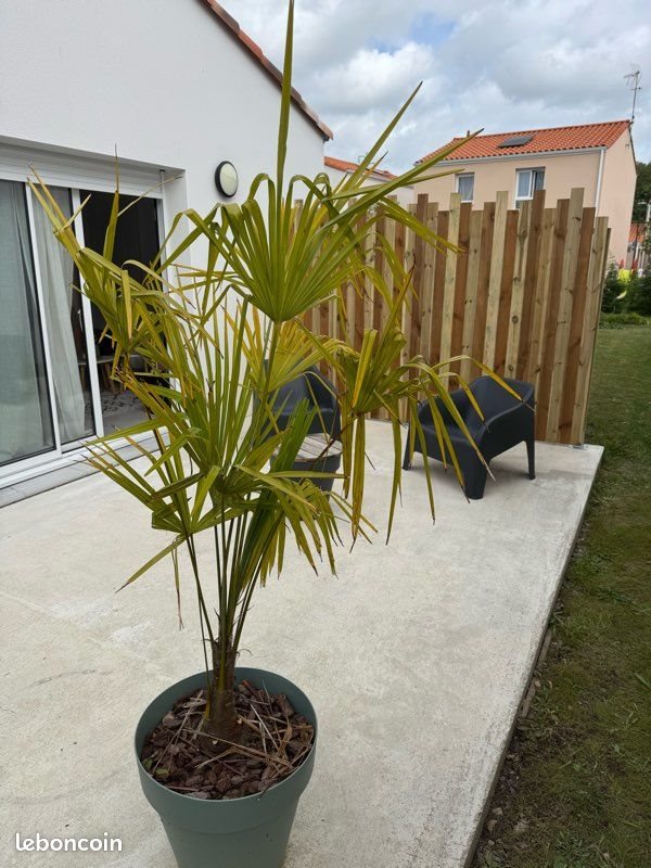 Maison à louer, 91m², Challans