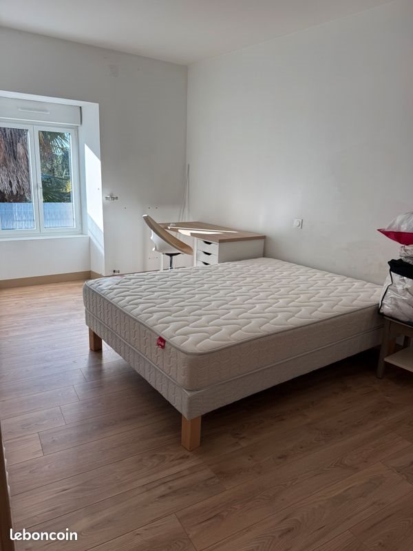 Appartement à louer, 22m², Montaigu