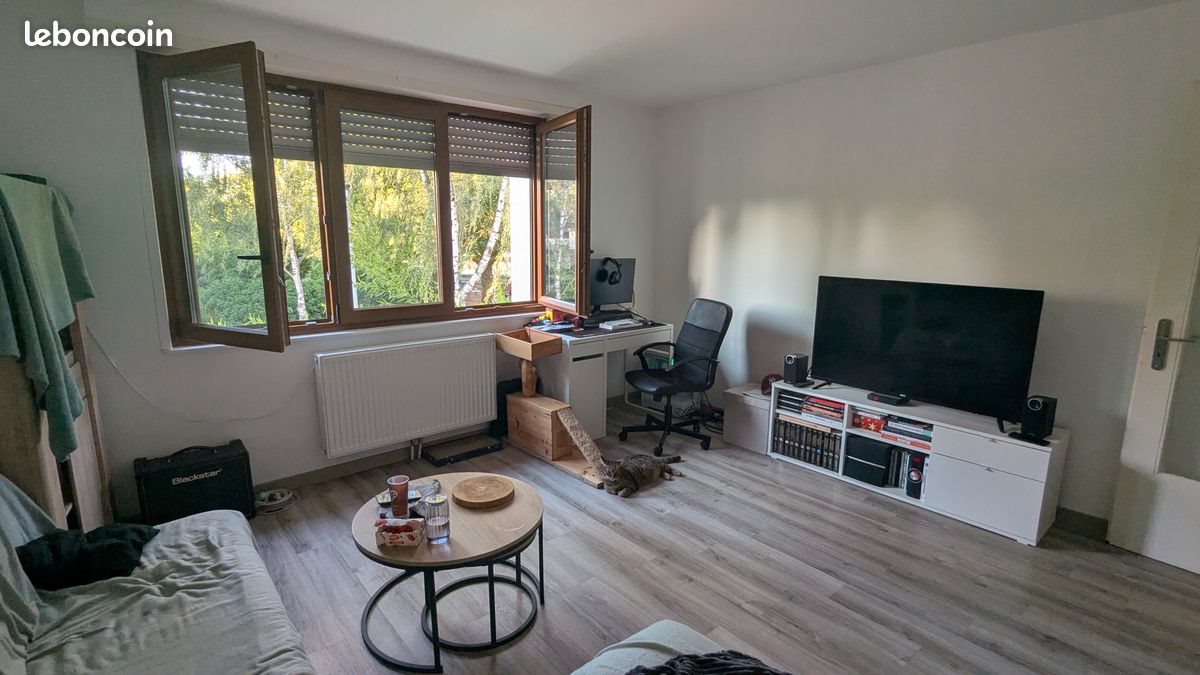 Appartement à louer, 53m², Strasbourg