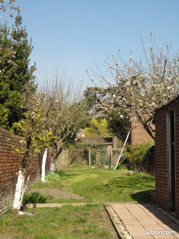 Appartement à louer, 36m², Villeneuve-d'Ascq