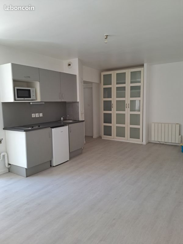 Appartement à louer, 47m², Saint-Étienne
