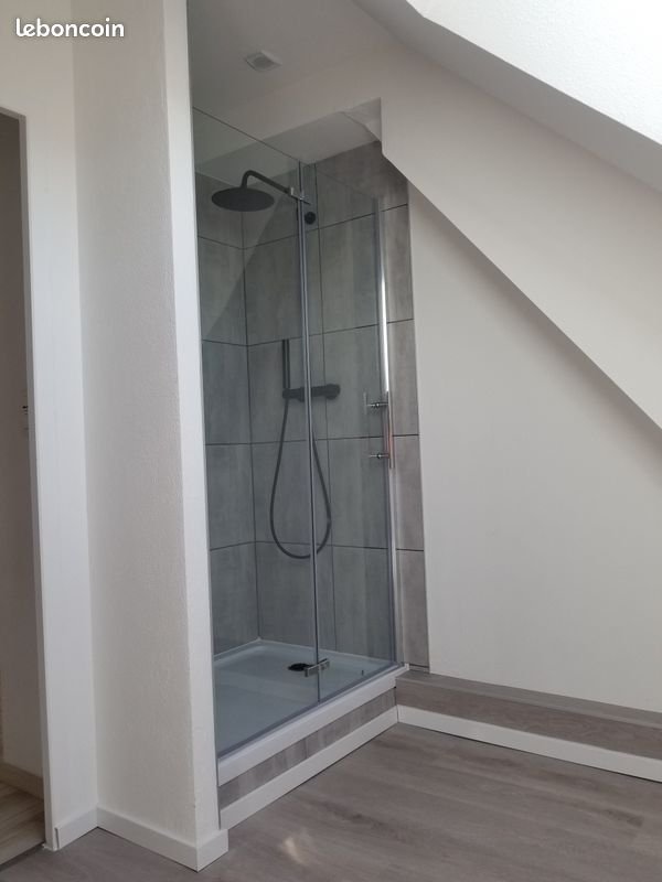 Appartement à louer, 55m², Seppois-le-Bas