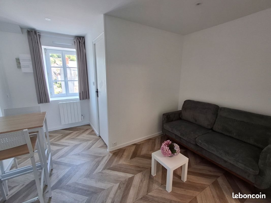 Appartement à louer, 27m², Segré-en-Anjou Bleu