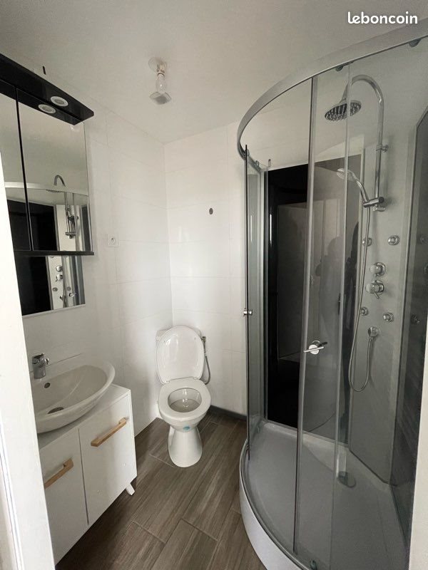 Appartement à louer, 34m², Roche-la-Molière