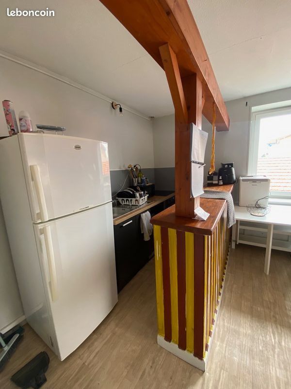 Appartement à louer, 50m², Veauche