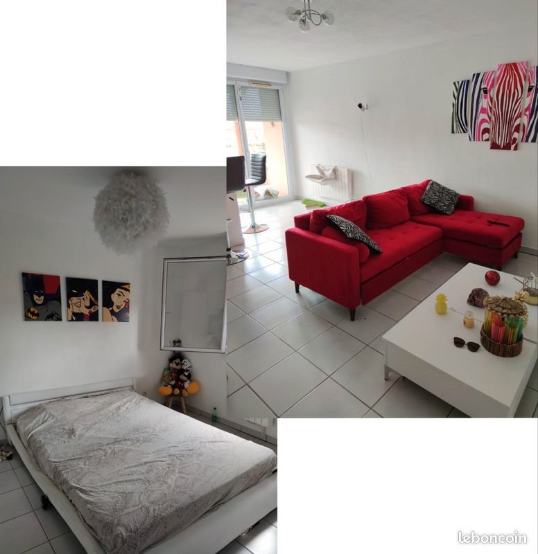 Appartement à louer, 42m², Colomiers