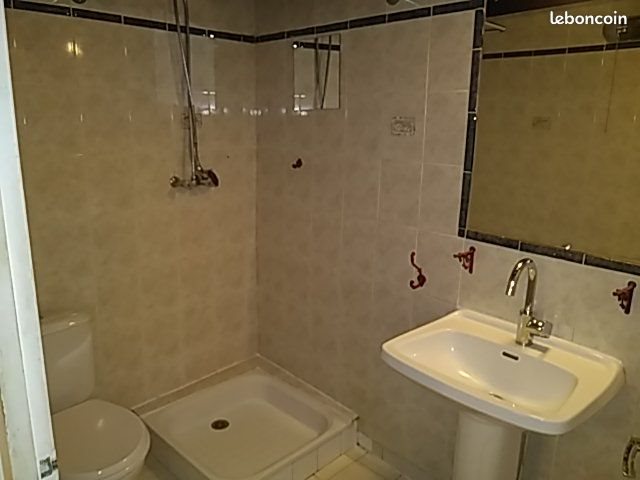 Appartement à louer, 26m², Lyon 1er