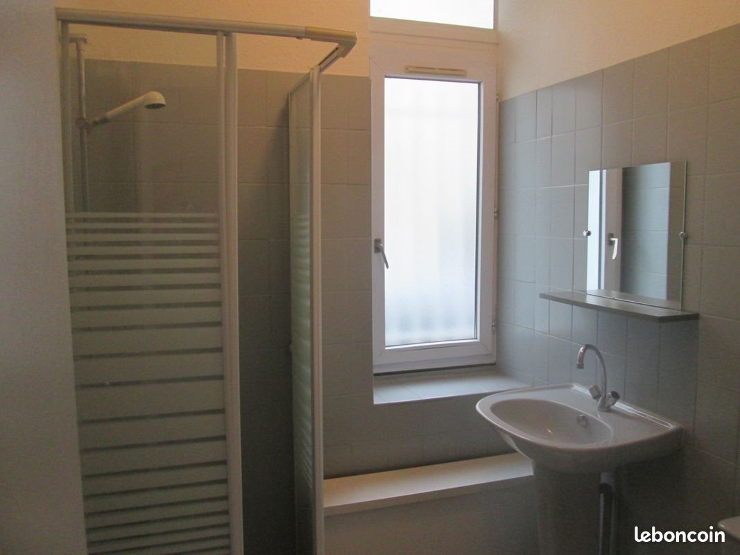 Appartement à louer, 25m², Saint-Etienne